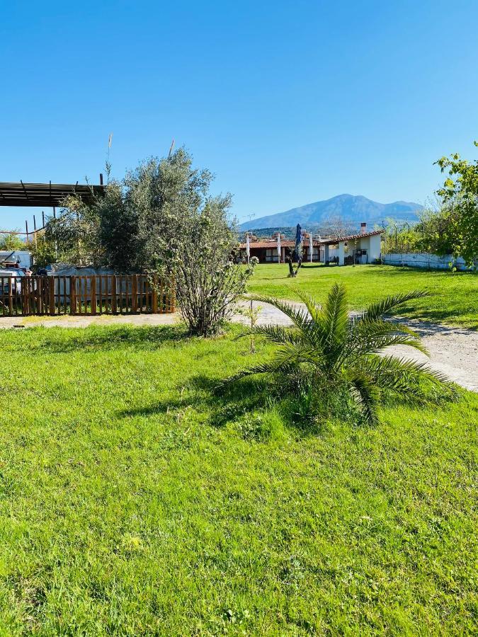 Village Dimopoulos Rodhodhafni ภายนอก รูปภาพ